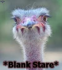 blank-stare-png.16271