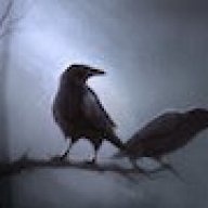 Huginn and Muninn