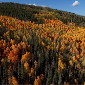 Colorado Autumn - YouTube