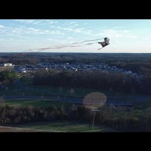 DJI Phantom 3 Professional - Flying Kite View - YouTube