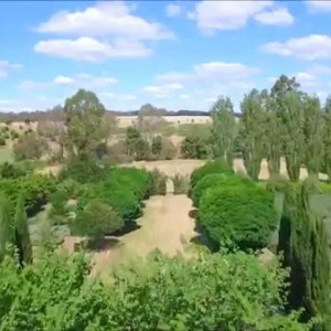 Lavandula Lavender Farm - YouTube