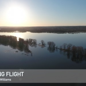 Phantom 4, Evening Flight - YouTube