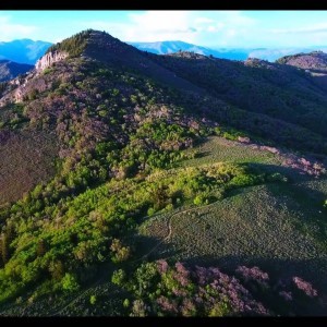 Snowbasin area Sardine Peak Drone - YouTube