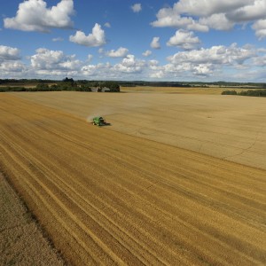 Latvia|Harvesting