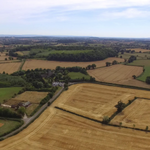 Golden Fields of wheat.Malvern UK