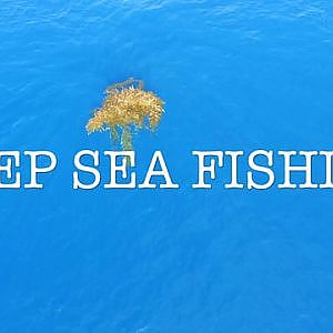 Deep Sea Fishing SoCal on Vimeo