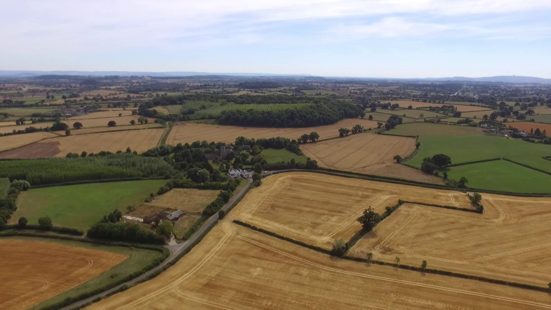 Golden Fields of wheat.Malvern UK